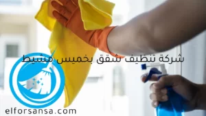 شركة تنظيف شقق بخميس مشيط