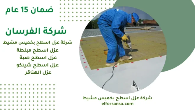 ابتعد عن الأخطاء:كيف تختار شركة عزل اسطح بخميس مشيط مضمونة