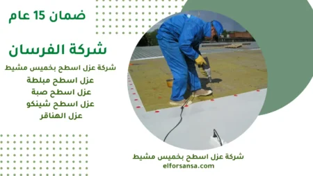 ابتعد عن الأخطاء:كيف تختار شركة عزل اسطح بخميس مشيط مضمونة